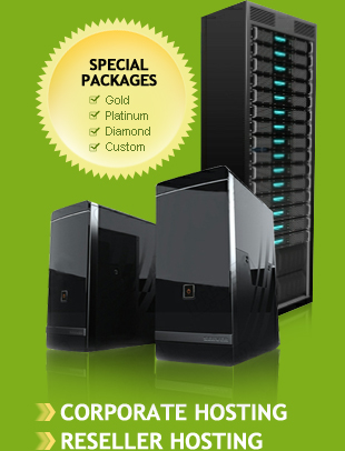 Web Hosting